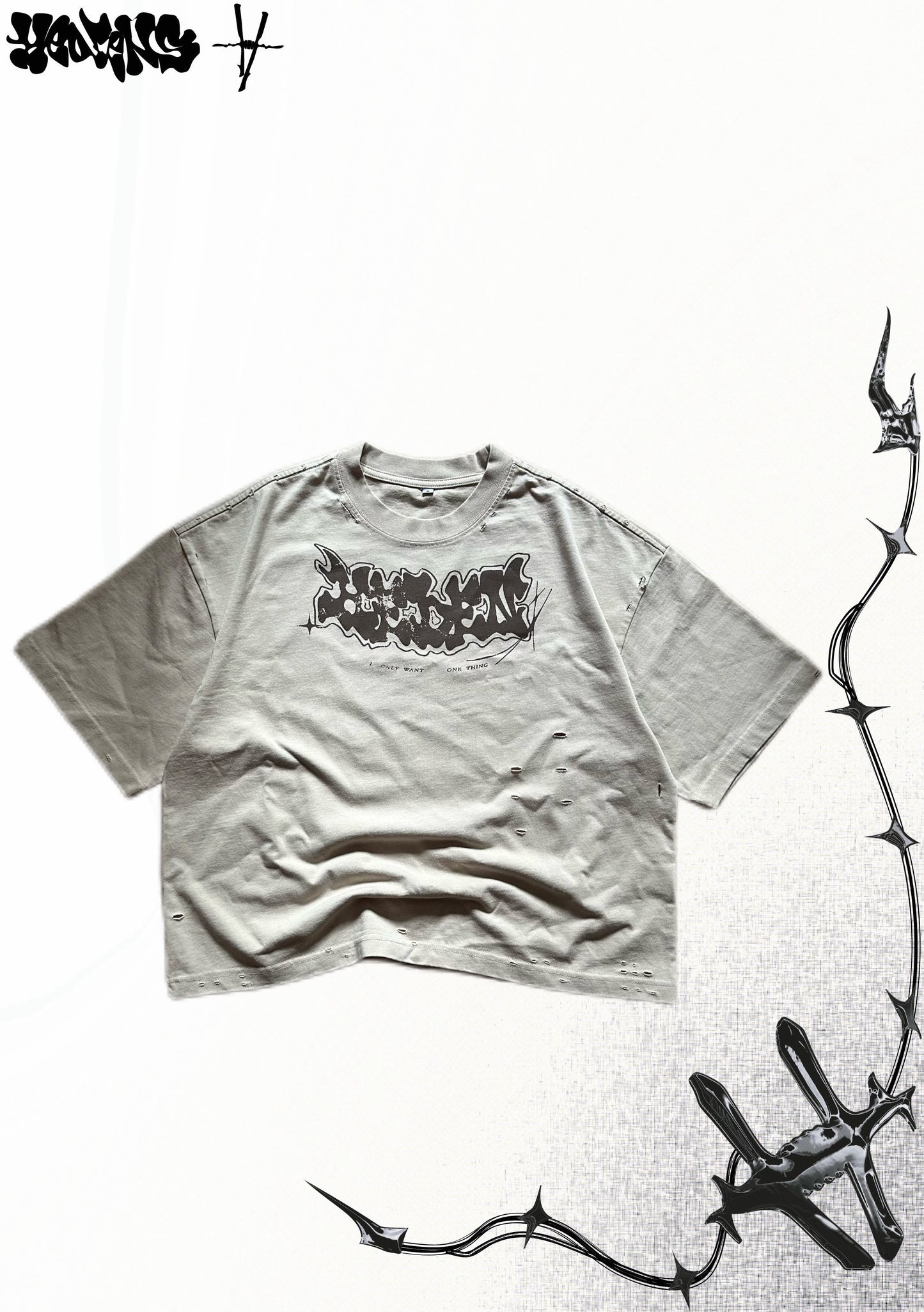 HEDENS Beige Shirt - boxy fit
